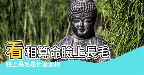 臉上長毛|臉頰長毛是什麼原因